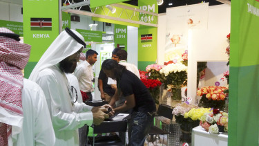 Favourable environment for the IPM Dubai
