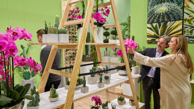 Living is one of three segments at the Ambiente. Trade visitors can also find out about the dining and giving sectors. Living is one of three segments at the Ambiente. Trade visitors can also find out about the dining and giving sectors.