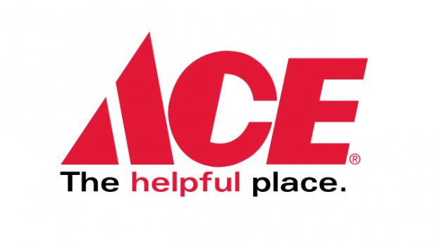 Ace Hardware had the highest ranking of all non-food retailers in the recently published Temin Experience Ratings.