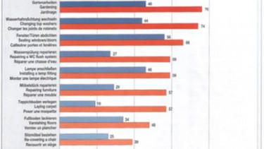 France as a DIY nation