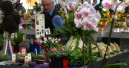 A “special mood” at the IPM